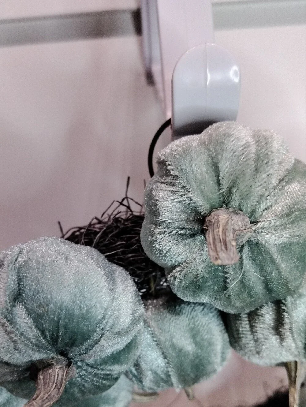 Velvet Teal Pumpkin 9